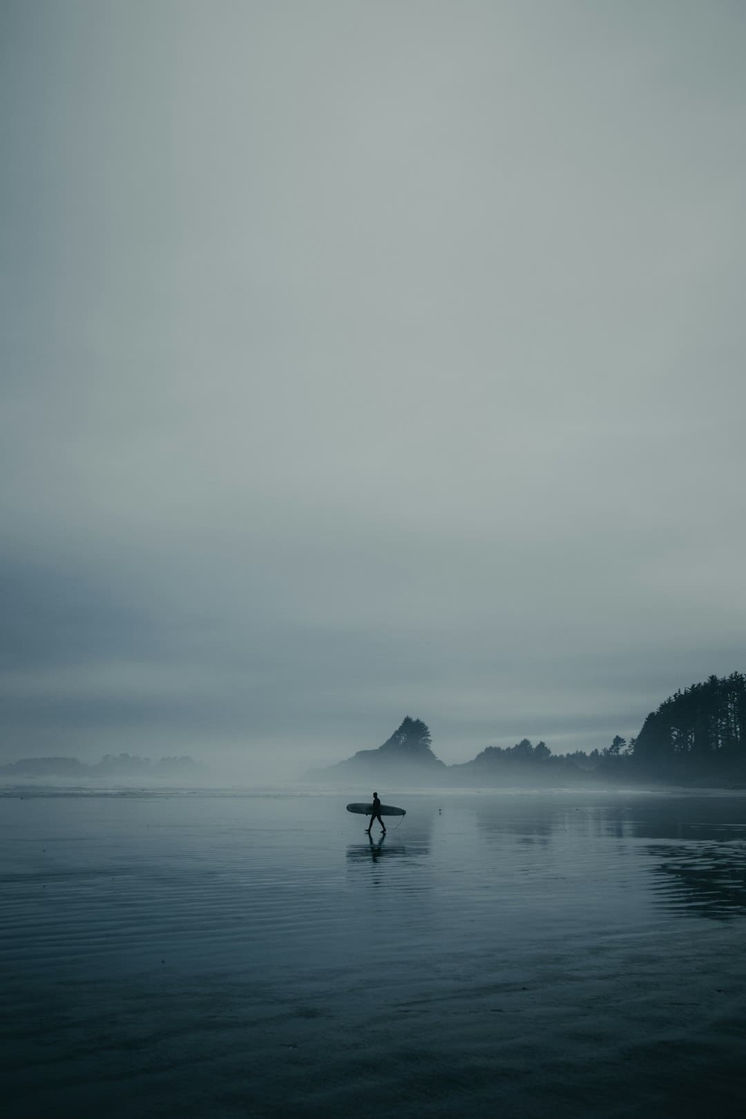 那英谈自己为何参与《花少7》:是特别可贵的时机